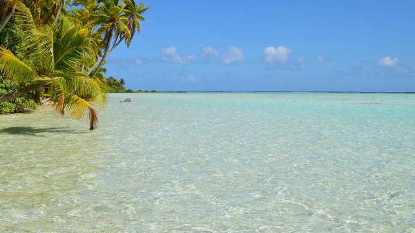 Top Tips for Selecting the Perfect Holiday Rental in the Scottish Lowlands for an Unforgettable History Tour