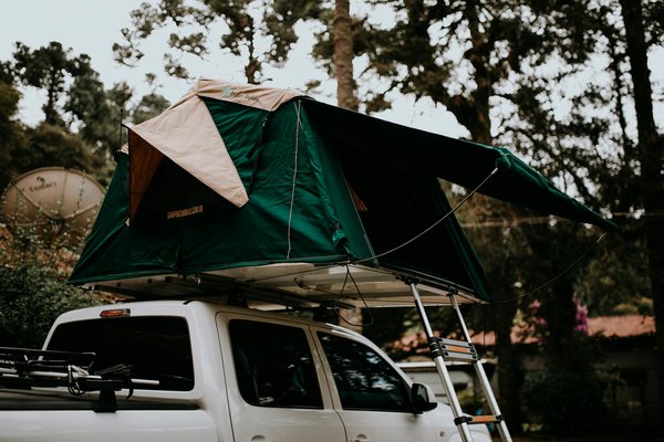 Discover the Best Guided Walking Tours of Cambridge"s Historic Colleges: Your Ultimate Guide!