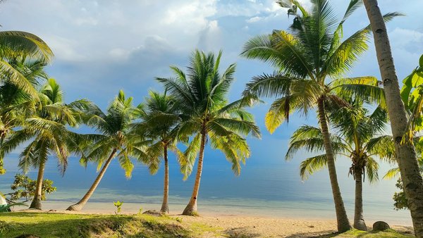 Discover the Top UK Destinations for Expert Workshops in Traditional British Tapestry Weaving