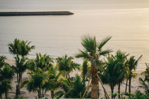 Discover the Top UK Campsites Nestled Near Fascinating Historical Walking Tours!